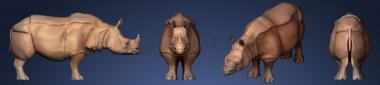 3D model rhino (STL)